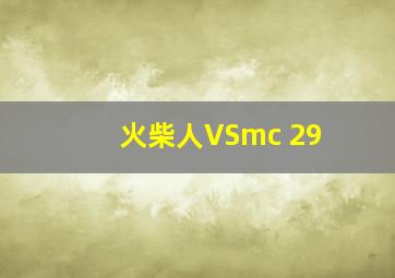 火柴人VSmc 29